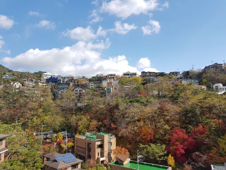 매물번호508매매가35억원 대지311㎡(94평)