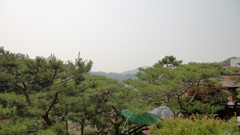매물번호932 916m² 매매550,000