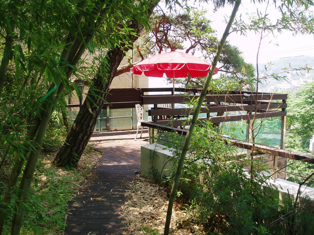 lg_s16293649379762_662_1.jpg