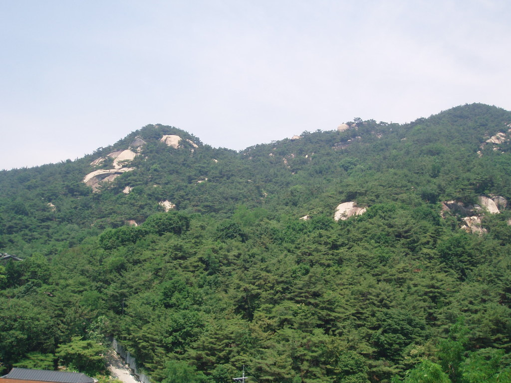 lg_s16293649388569_662_0.jpg