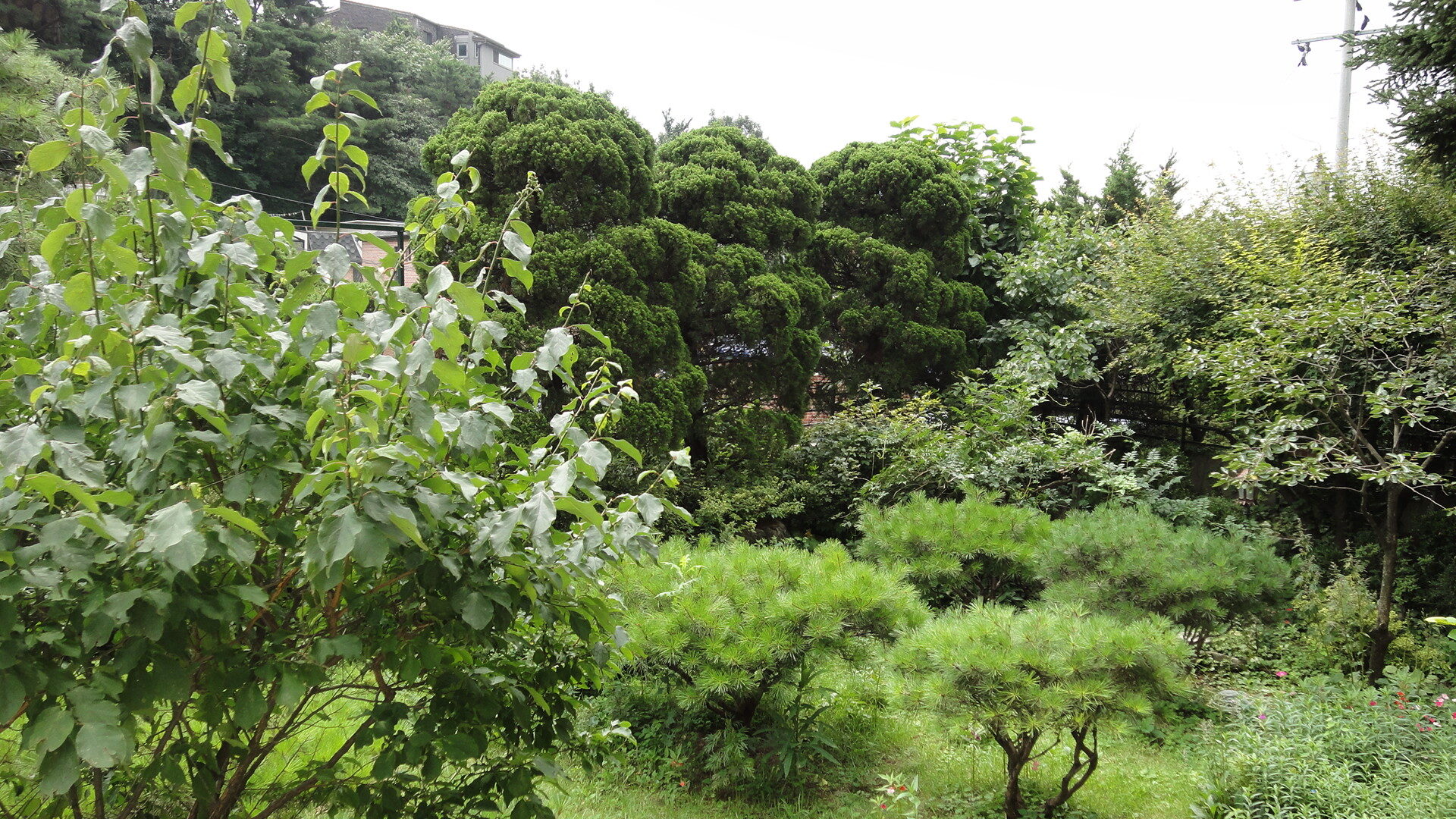 매물번호428 전세8억원 전용131.03㎡(39.6평)