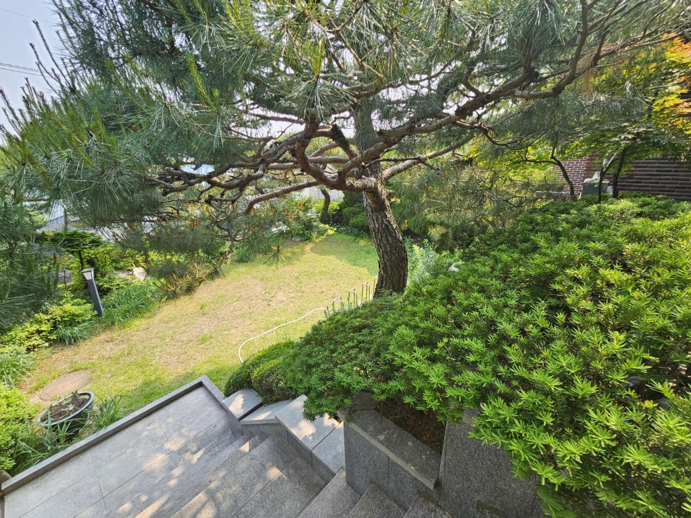 매물번호314 매매45억 대지605㎡