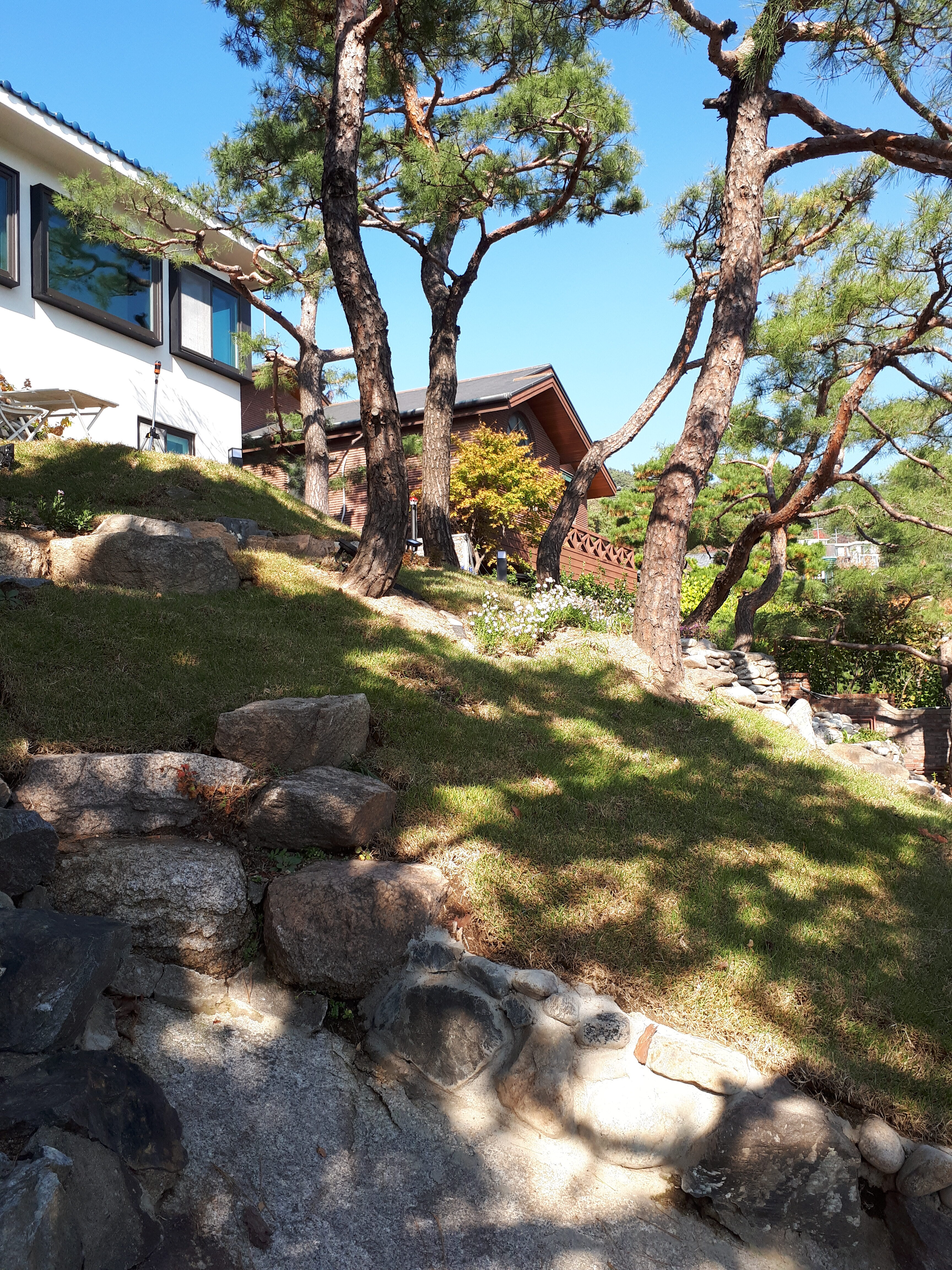 매물번호444 매매50억원 대671㎡(202평)